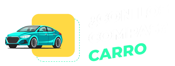 Carro Picap